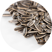 Sunflower Seeds (B1)