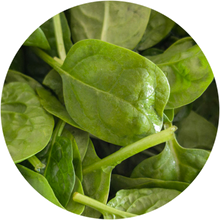 Spinach (B9)